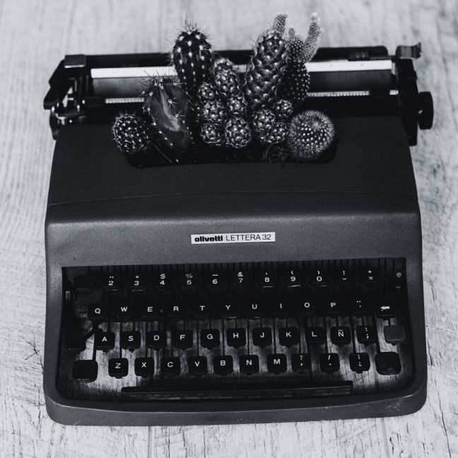 A black typewriter with cactuses growing on top of it illustrating the blog post titled "An overview of the best writing masterclasses."