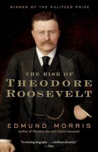 "The Rise of Theodore Roosevelt" by Edmund Morris is one of the best political biographies.