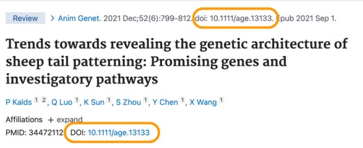 An example of a digital object identifier in an academic article.