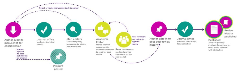 Double-blind peer review in academic publishing process